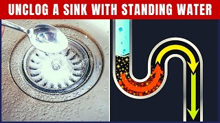 How To Unclog A Sink With Standing Water Get Immediate Results [upl. by Rilda]