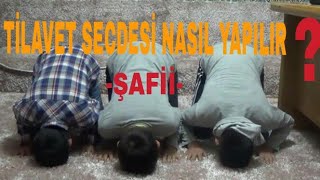 TİLAVET SECDESİ NASIL YAPILIRŞAFİİ [upl. by Tod602]