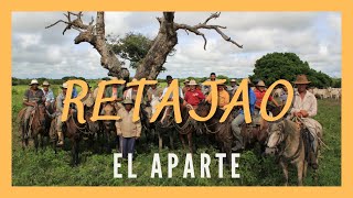 RETAJAO EL APARTE Vaquerías de invierno Llanos venezolanos Ganadería tropical Trashumancia [upl. by Felt]