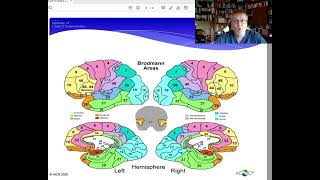 What is Electroencephalography EEG [upl. by Narmis]