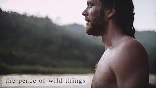 Wendell Berry  The Peace of Wild Things [upl. by Hnaht594]