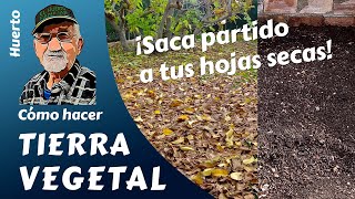 𝗧𝗜𝗘𝗥𝗥𝗔 𝗩𝗘𝗚𝗘𝗧𝗔𝗟 CÓMO HACER TIERRA VEGETAL [upl. by Silvano300]