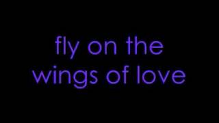 DJ Sammy Fly On The Wings Of Love WITH LYRICS [upl. by Uehttam]