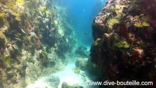 Plongée dans lArchipel des Saintes  Guadeloupe  LAquarium [upl. by Garap107]