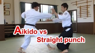 Aikido vs Straight punch（Possibility of Aikido） [upl. by Norris857]