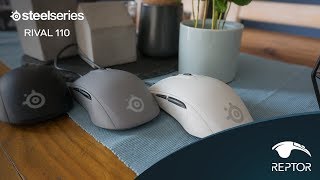 BESTE Gaming Maus und GÜNSTG  Steelseries Rival 110  GEWINNSPIEL [upl. by Innis895]