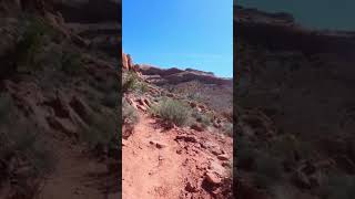 Hiking the Syncline Ascent Taylor Canyon Loop at Canyonlands NP 🏜️🇺🇸 [upl. by Scuram]