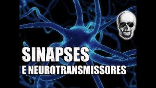 Animação  Neurônios sinapse contração muscular e movimento  Sistema Nervoso  Vídeo Aula 086 [upl. by Tenay]