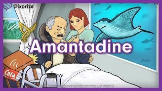 Amantadine Mnemonic for USMLE [upl. by Quinlan845]