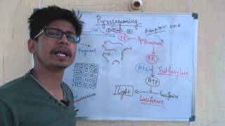 Pyrosequencing [upl. by Fara]