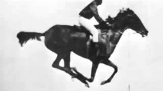 The horse in motion Eadweard Muybridge 1878 First Film Ever [upl. by Eldwin]