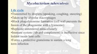 video lecture mycobacteria [upl. by Canada]