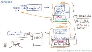 Digital Certificates Chain of Trust [upl. by Oiramat]