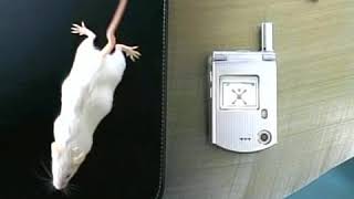 Cingular  Pantech C300  2006 Commercial [upl. by Schaeffer]