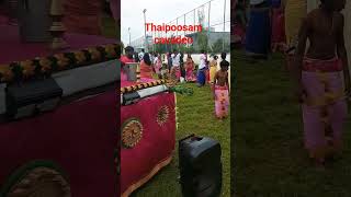 Thaipoosam cavadee in mauritius Thaipoosamcavadee cavadee [upl. by Jermaine]