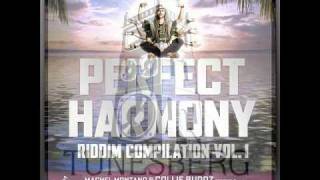 Etzia  Wine Down Low Perfect Harmony Riddim Partillo Prod Feb 2011 Tunesberg Records [upl. by Akiras909]