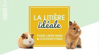 Comment préparer la litière de votre lapin ou cochon dinde  TutoExpert [upl. by Rebmit81]