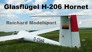 Glasflügel H206 Hornet Reichard Modelsport  scale RC glider  4K  Czech Heaven 2021 [upl. by Mcculloch243]