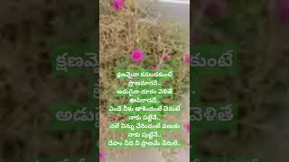 Oke oka lokam telugu lyricsplease do like share subscribe to my channel [upl. by Akinor]