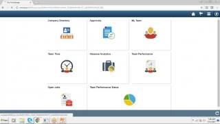 Peoplesoft Technical Training Demo [upl. by Merc]