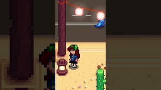 How to find the TRICORN HAT during the DESERT FESTIVAL in stardewvalley shorts gaming [upl. by Llewol]