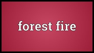 Forest fire Meaning [upl. by Gabriel]