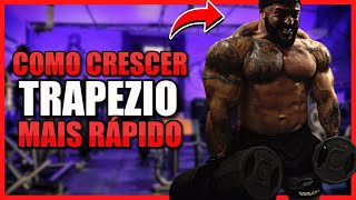 COMO CRESCER TRAPÉZIO MAIS RÁPIDO TREINO COMPLETO [upl. by Keviv704]