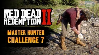 Red Dead Redemption 2 Master Hunter Challenge 7 Guide  Use bait to kill a predator and herbivore [upl. by Anirdnajela]