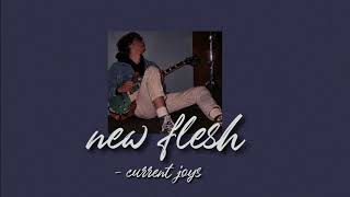 new flesh  current joys slowed  reverb [upl. by Gittel703]