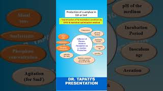 Factors Affecting AlphaAmylase Production  SSF amp SmF shorts industrialmicrobiology amylase [upl. by Ayinat104]