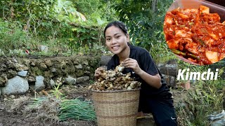 Harvesting Making Kimchi in Tropical Country Bohol Philippines Calming Dinner in the Countryside [upl. by Annawad]