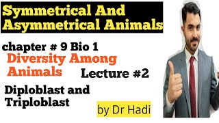 Symmetrical and Asymmetrical Animals Diploblast and Triploblastic Animals in Urdu Hindi By Dr Hadi [upl. by Brownley699]