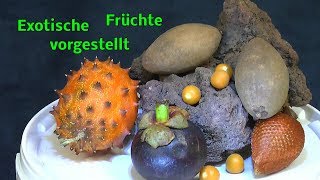 Früchte aus fernen Ländern Exotische Früchte mal ansehen Ein Päckchen für Detlef [upl. by Nakada]