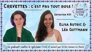 31 Crevettes  cest pas tout rose   Elisa Autric amp Léa Guttmann [upl. by Ssilb]