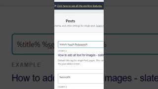 adding schema markup in wordpress shorts wordpress [upl. by Oiliruam]