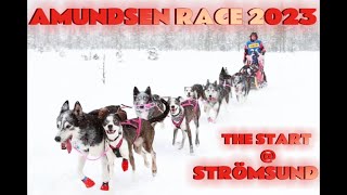 AMUNDSEN RACE 2023sled dog race  STARTING RACE Strömsund [upl. by Libove634]