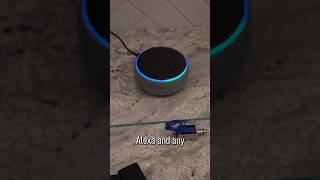 Alexa Routines HACK [upl. by Isaacson729]