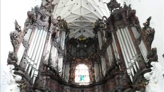 Koncert organowy w Katedrze Oliwskiej Organ concert in the Oliwa Cathedral [upl. by Jones371]