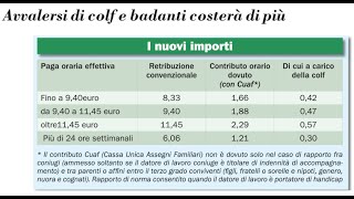 Piccolo rincaro dei contributi Inps per colf badanti e domestici ItaliaOggi del 3012024 [upl. by Lissak899]