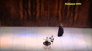 Viengsay Valdes amp Ivan Putrov Swan Lake Acts III  IV [upl. by Lauer]