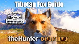 Tibetan Fox Guide  Sundarpatan Nepal  theHunter Call Of The Wild [upl. by Andee]