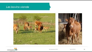 Références économiques agricoles du 81 CERFRANCE GARONNE ET TARN  Bovins viande  Campagne 2023 [upl. by Dupaix]