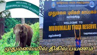 Ooty to Masinagudi Trip Masinagudi Tourist placesMudumalai Tiger reserveMudumalai Travel Vlog [upl. by Aetnuahs902]