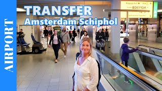 TRANSFER AT AMSTERDAM Airport Schiphol  Walking through the Airport to a Connection Flight [upl. by Enidaj]