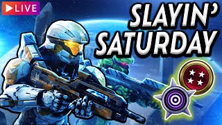 WEEKEND VIBES IN THE RANKED ARENA  D5 COME BACK  HALO INFINITE RANKED GAMEPLAY LIVE [upl. by Garrard]