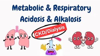 What is Acidosis Alkalosis Acid base balance in DialysisCkd patients metabolic acidosis [upl. by Lymn60]