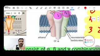 مرحلة رابعة  Org chemistry  Anxiolytic Sedative Hypnotics Agents Part 1 [upl. by Letitia]