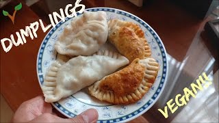 Dumpling Recipe  Vegan [upl. by Yle]