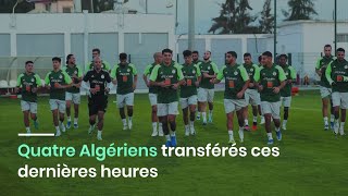 Quatre Algériens transférés ces dernières heures [upl. by Alexina900]