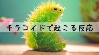 【高校生物】セミナー生物、チラコイドで起こる反応、代謝、基本問題 [upl. by Cudlip137]